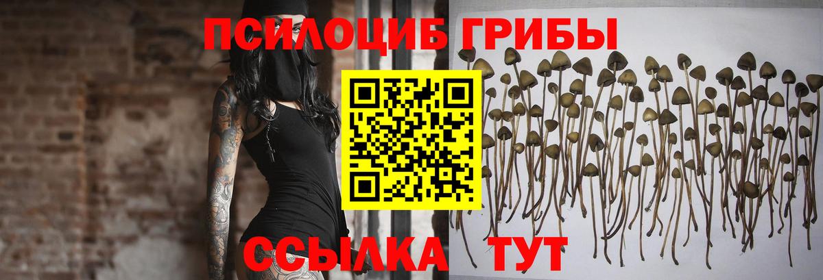 Бугуруслан  Псилоцибиновые грибы MAGIC MUSHROOMS  Вход с VPN 